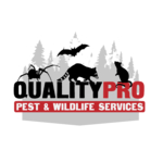 Mount Vernon Wildlife Removal